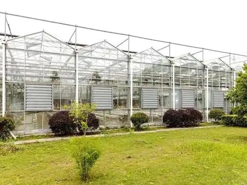 The Advantages Of Applying Glass Greenhouse Technology To Modern Agriculture