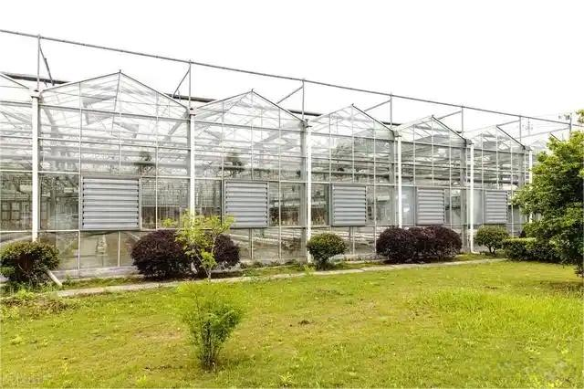 The Advantages Of Applying Glass Greenhouse Technology To Modern Agriculture