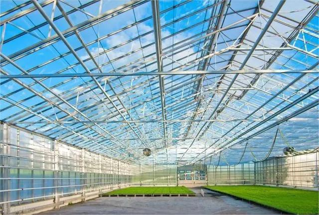 The Advantages Of Applying Glass Greenhouse Technology To Modern Agriculture