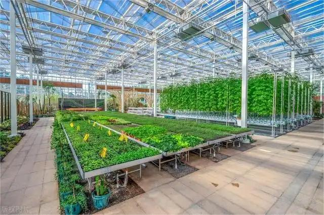 The Advantages Of Applying Glass Greenhouse Technology To Modern Agriculture