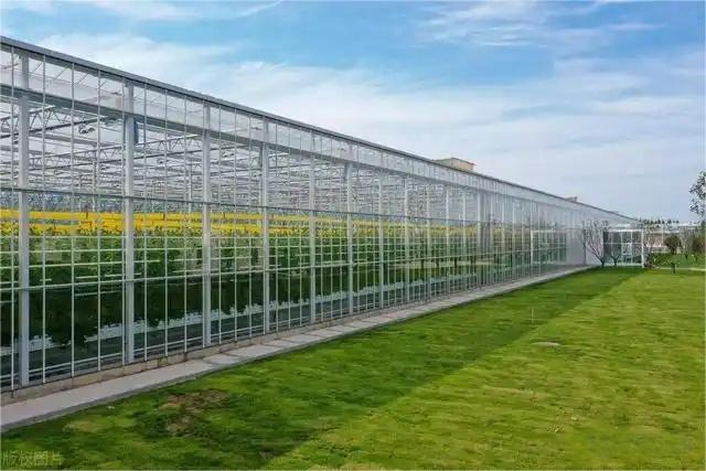 The Advantages Of Applying Glass Greenhouse Technology To Modern Agriculture