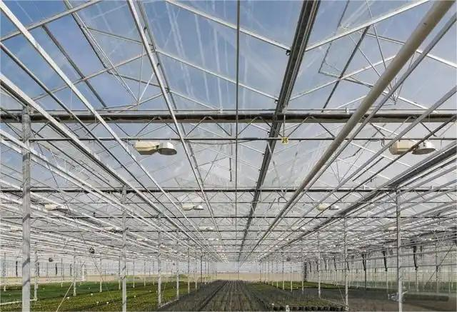 The Advantages Of Applying Glass Greenhouse Technology To Modern Agriculture