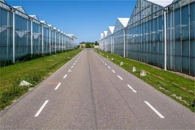 The Advantages Of Applying Glass Greenhouse Technology To Modern Agriculture