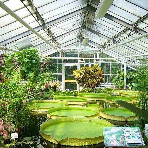 green-house-for-sale